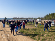 FB260322-11 - Fergal O'Brien Stable Visit